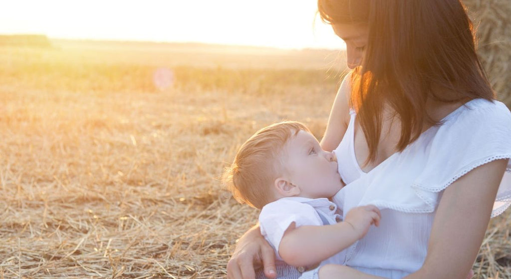 8 Easy Tips For Breastfeeding In Public - Petit Tippi Blog